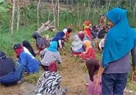 Warga Padukuhan Ngringin Guyub dalam Kegiatan Jumat Bersih